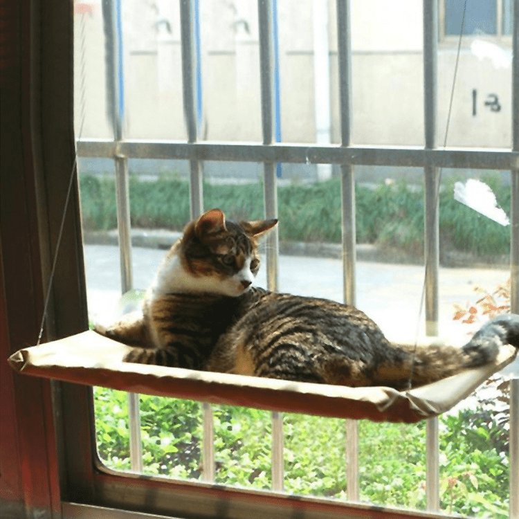 Cat Window Bed - H&A Outlet