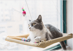 Cat Window Bed - H&A Outlet
