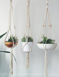 Macrame Plant Hanger - H&A Outlet